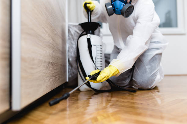 Wildlife Control Services in Mauldin, SC