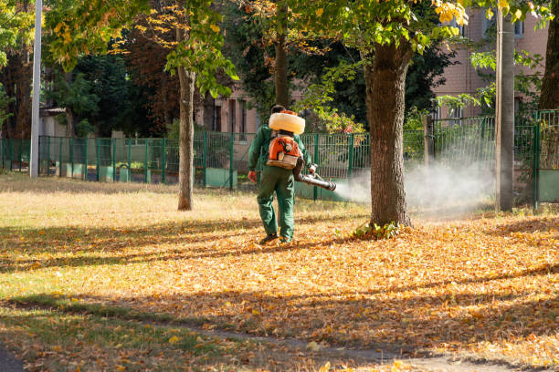 Reliable Mauldin, SC Pest Control Solutions