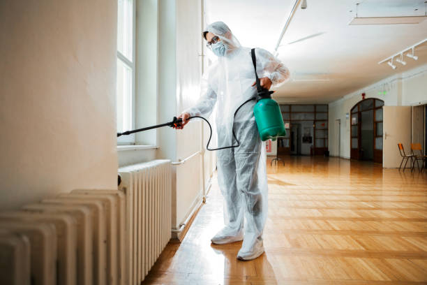 Best Best Pest Control Companies  in Mauldin, SC