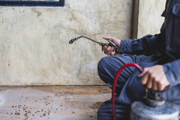 Best Mosquito Control Services  in Mauldin, SC