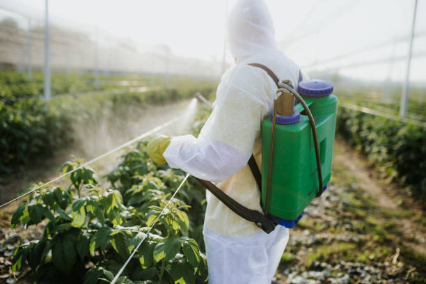 Best Residential Pest Control  in Mauldin, SC